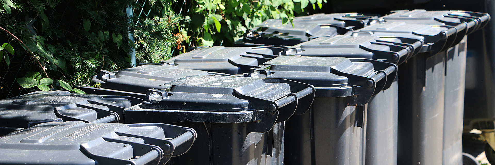 Automated Garbage Collection (Black Carts) Involve Airdrie